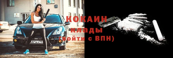 индика Алексеевка
