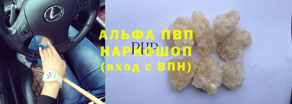 индика Алзамай