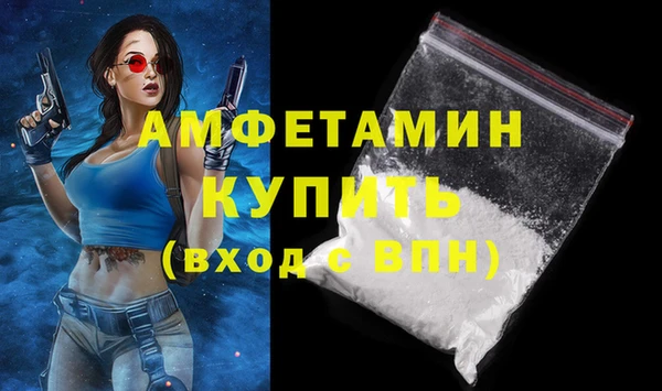 индика Алзамай
