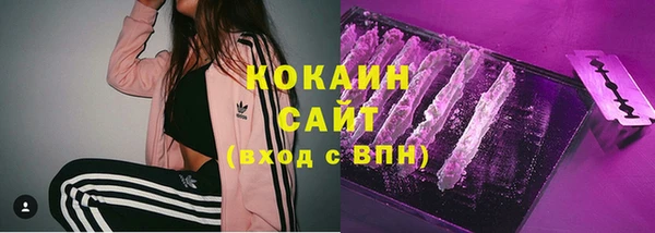 индика Алексеевка