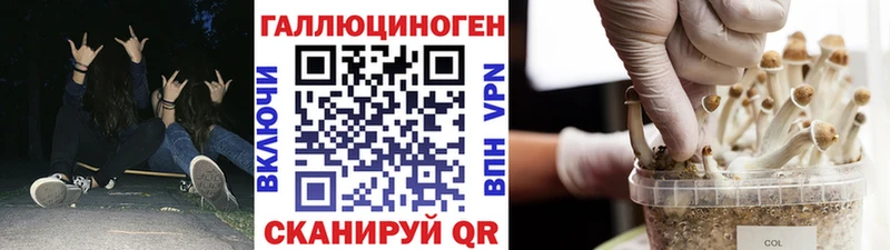 Галлюциногенные грибы мухоморы  Талдом 